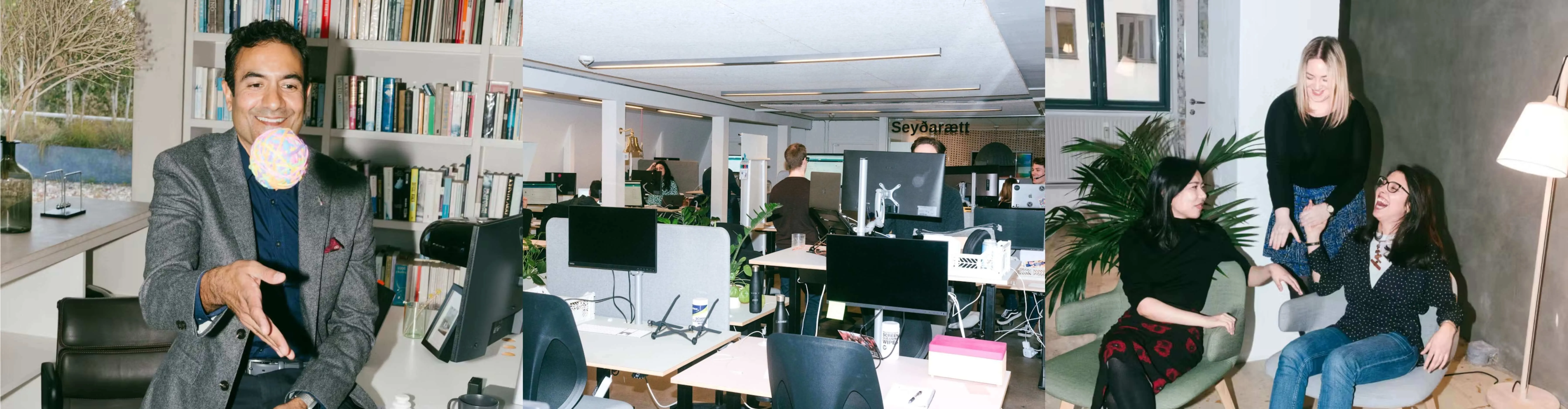 Pleo Technologies: 29 jobs active